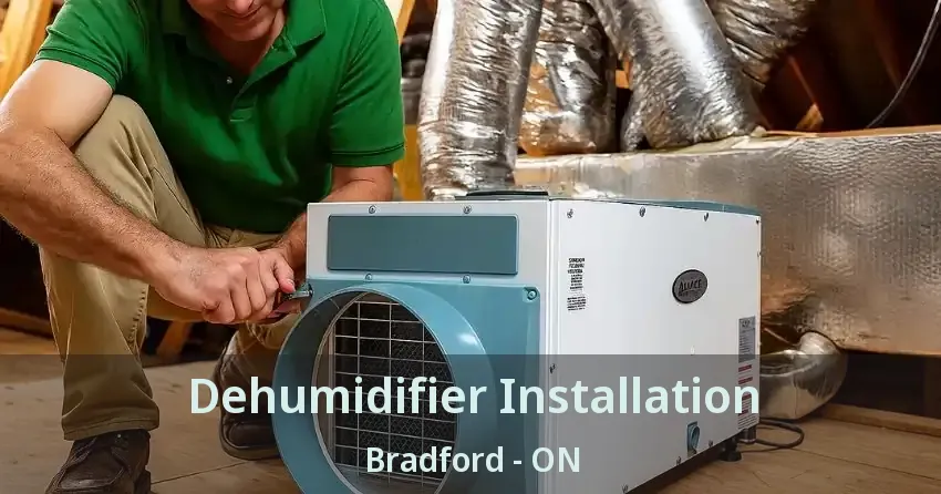Dehumidifier Installation Bradford - ON