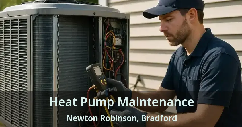 Heat Pump Maintenance Newton Robinson, Bradford - ON