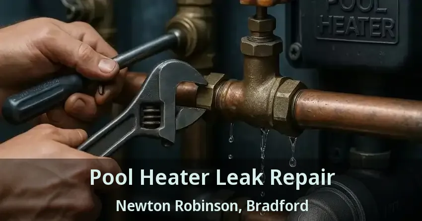 Pool Heater Leak Repair Newton Robinson, Bradford - ON